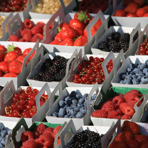 3044 Berry Punnets