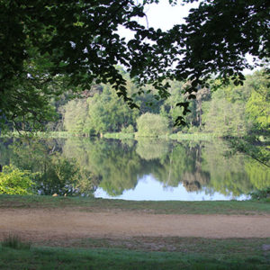 3779 Spring by the Lake