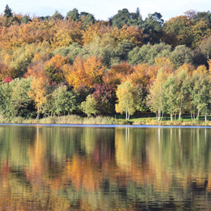 6651 Autumn by the Lake